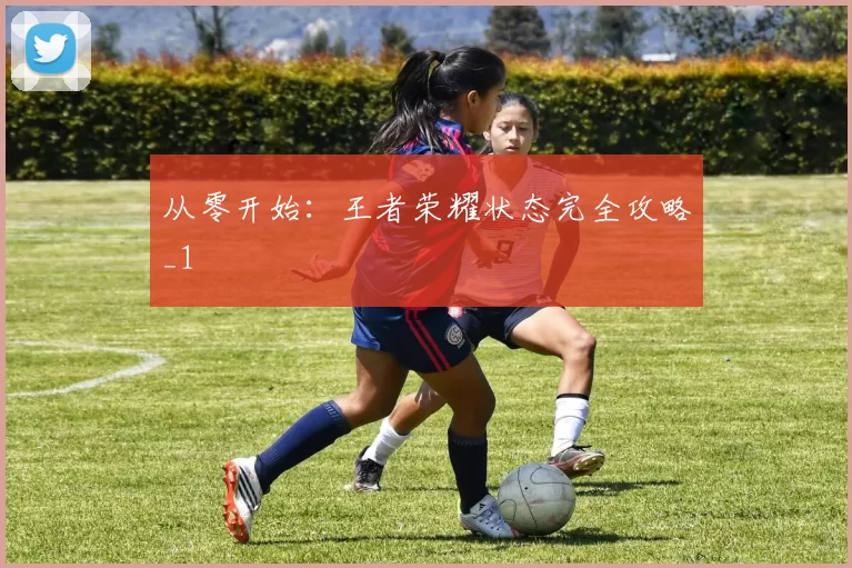 从零开始：王者荣耀状态完全攻略_1