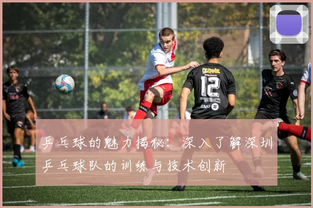 乒乓球的魅力揭秘：深入了解深圳乒乓球队的训练与技术创新