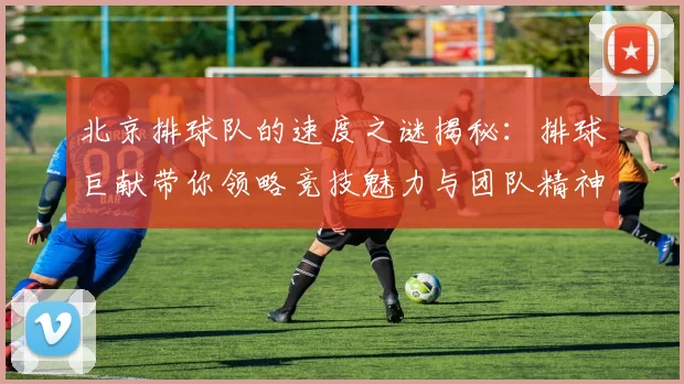 北京排球队的速度之谜揭秘：排球巨献带你领略竞技魅力与团队精神