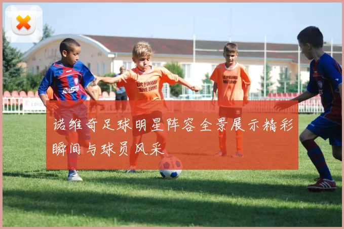 诺维奇足球明星阵容全景展示精彩瞬间与球员风采