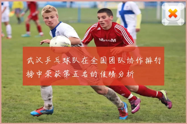 武汉乒乓球队在全国团队协作排行榜中荣获第五名的佳绩分析