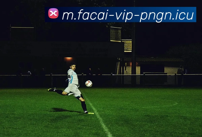 星空体育服务体系